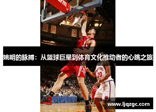 姚明的脉搏：从篮球巨星到体育文化推动者的心跳之旅